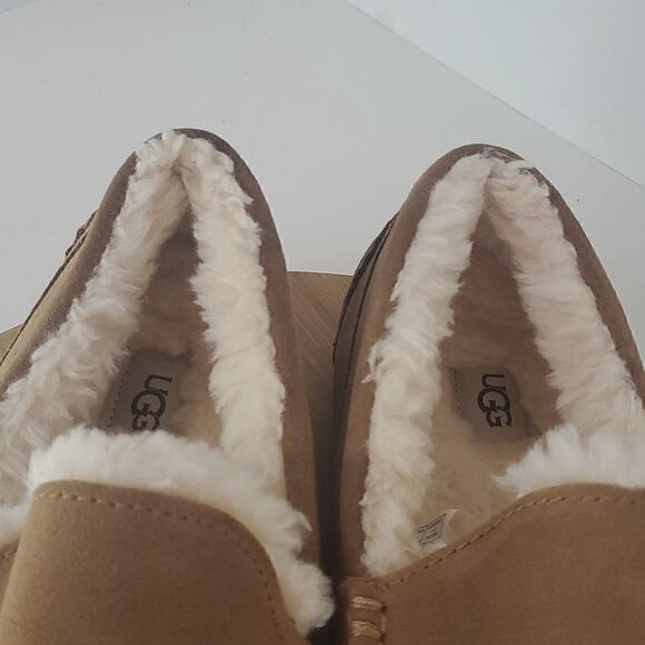UGG Ascot Slipper Chestnut Suede Wool Comfort Loafer Men\'s US 12 New main image 3